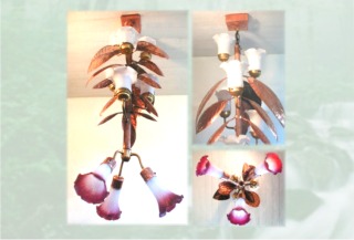 Eclectic organic lighting